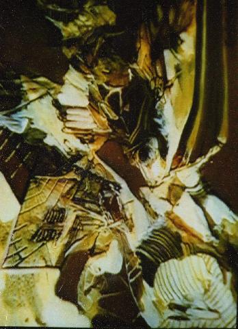 Product picture Gintautas Velykis   ARTCAGE  painting003a.jpg