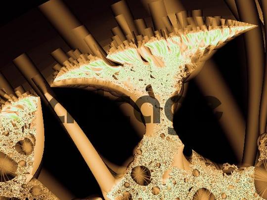 Product picture fashion 2008 10 3178.jpg