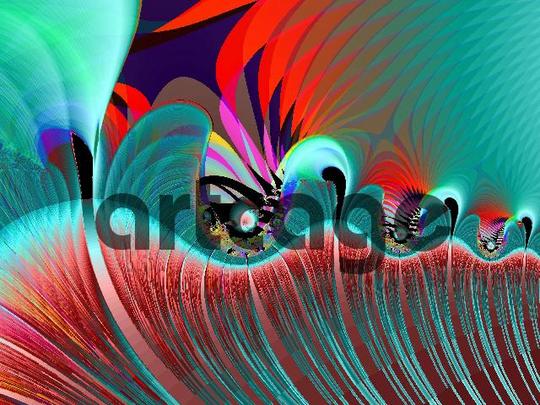 Product picture squid Folded.jpg